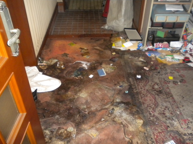 特殊清掃は 東京特殊清掃センター 孤独死部屋腐敗物 血液洗浄清掃